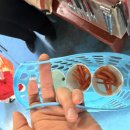 (주)오즈 | 대구 아르떼 수성랜드 동물 구경 아이랑 가볼만한 곳