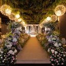 라온제나 이미지