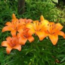 일구농장 이미지