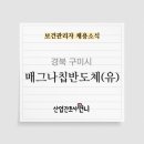 매그나칩반도체(유)