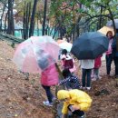 서수원지식정보도서관 이미지