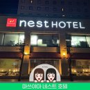 707 미니호텔 | 일본 마쓰야마 여행 네스트 호텔 가성비 숙소 추천 내돈내산 후기