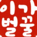 이가벌꿀