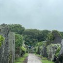 상윤목장 | [제주 한달 살이] Day 17-18 교래자연휴양림(하늘연못), 사려니숲길, 바이닐 제주, 금오름