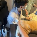 준동물병원 이미지