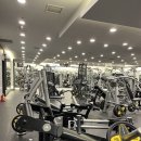 헬스보이짐 선릉점 이미지