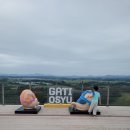 농협 한우개량사업소 가축병원 | 충남 서산 :: 5살 아이와 가볼 만한 곳, 서산한우목장 웰빙산책로