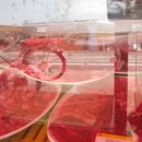 대천마을회관 이미지