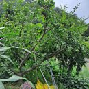 천덕슈퍼 이미지