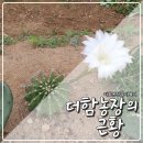 함농장 네이버블로그