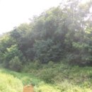 신덕리 노인회관 이미지