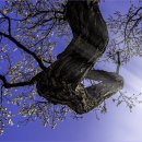 김해건설공업고등학교 이미지