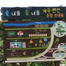 솔내음펜션C동 이미지