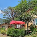 소나무흙집민박 이미지