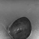 강내동물병원 이미지