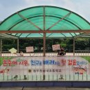 송내초등학교 데일리와이