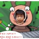 미미꽃방 이미지
