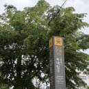 (주)엔트리소프트 | [용산 퍼스널컬러] 얼굴분석·골격분석까지 해주는 숙대 메르시모몽리 리얼후기