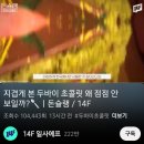 “지겹게 본 두바이 초콜릿 왜 점점 안 보일까?🥄ㅣ돈슐랭 / 14F” 의 영상 요약