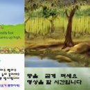 요가강좌 이미지