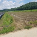 농지목장 이미지