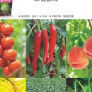 병팔농장 네이버블로그