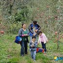 양산배내골 사과정보화마을 이미지