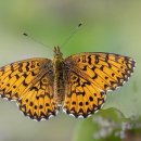 코아루나눔터도서관 이미지