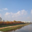 금천농장 2 이미지