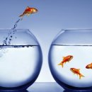 (10/14 Tue) How to make a dramatic career change 이미지