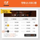 컷테니스