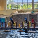 롯데리조트부여와 함께하는 부여 감성야행 이미지