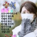 [중앙안전대책본부] 최근 2주간 경로 미상 확진자 현황 이미지