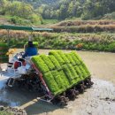 동면농업협동조합 이미지