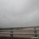 서구-01-146 | [월간일기] 6월 첫째날 하는 5월 정산