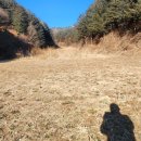 하나로가축병원 이미지