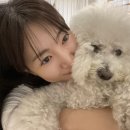 플로우디 이미지