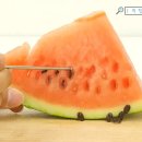 수박씨 이미지