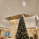 HOTEL STAY 318 | 가성비 오션뷰 군산 숙소 추천 군산 스테이 호텔 신관 트윈룸 후기