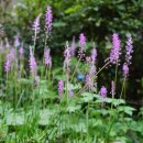 종근축산 | 11월 둘째주 주간 농사정보