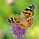 학성골프연습장 이미지