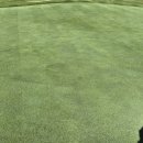 코스카cc 이미지