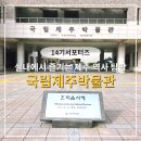 우리 가족 제주 역사·문화 탐방 | 실내에서 즐기는 제주 역사 탐방, 국립제주박물관
