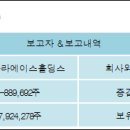 (주)에이스홀딩스