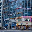 아트라인미술교습소 이미지