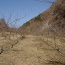 초입농장 이미지