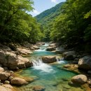 팔공산송이칼국수 | 🗺️ 대구 근교 계곡별 맛집지도와 시그니처 메뉴 추천