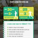 포화로 817 티스토리