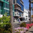 시장횟집 이미지