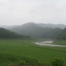 백전식당 이미지